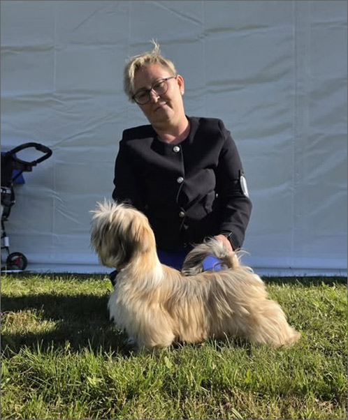 lhasa apso hodowla EUNIKA Azurowa Amhara