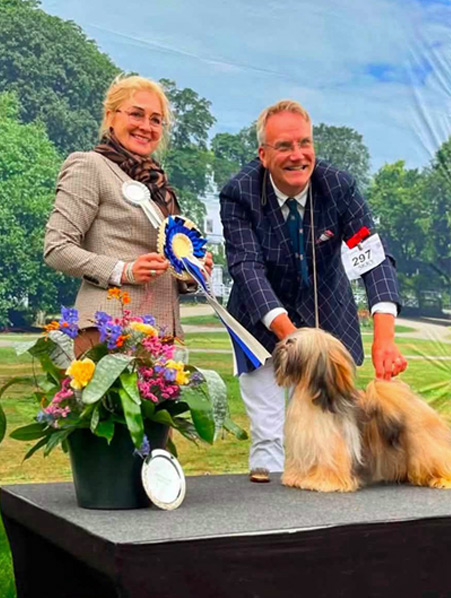 lhasa apso hodowla MAGIC KONIAK Azurowa Amhara
