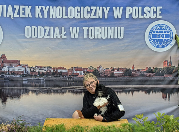 lhasa apso hodowla ESKALOPKA Azurowa Amhara
